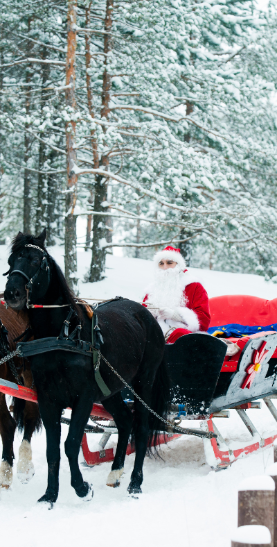 Programme des animations des vacances de Noël