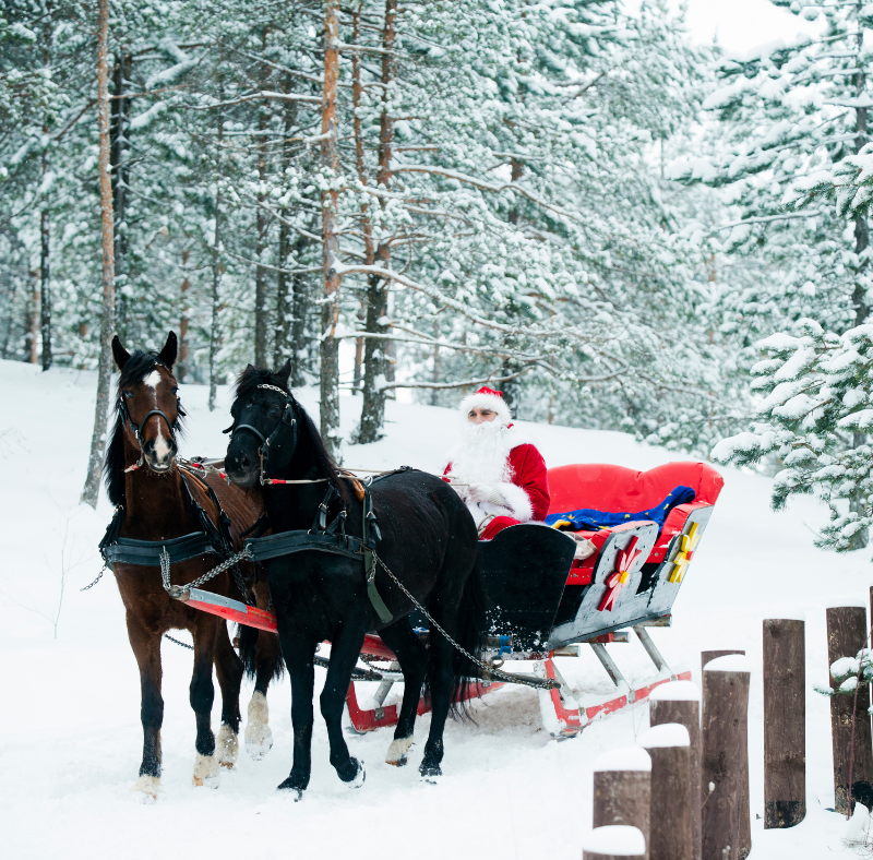 Programme des animations des vacances de Noël